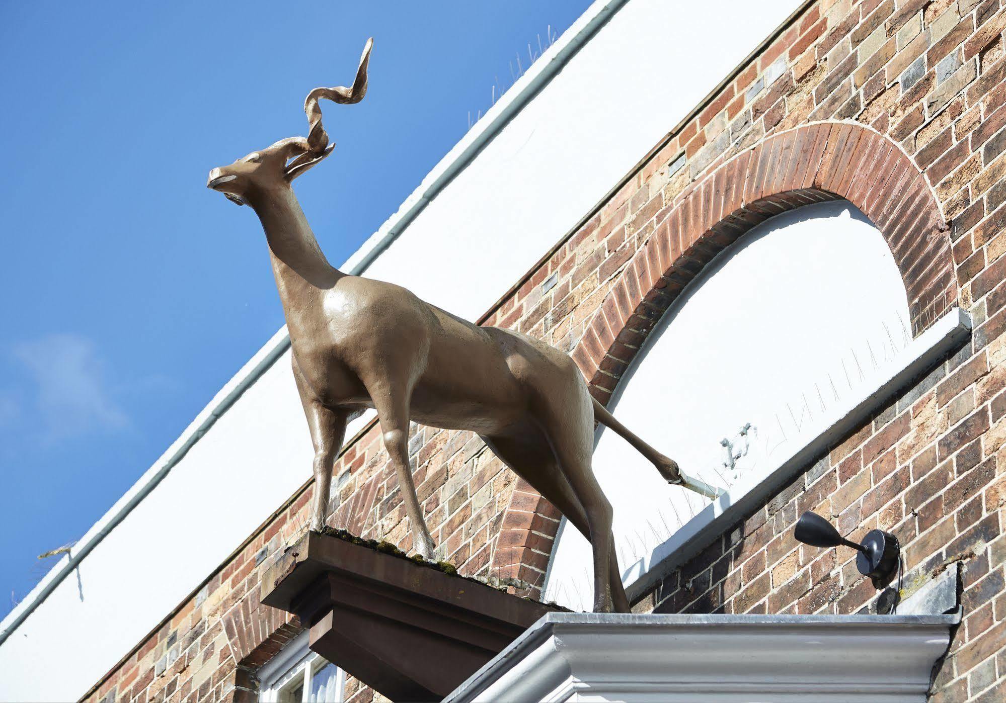Antelope By Greene King Inns Poole Extérieur photo
